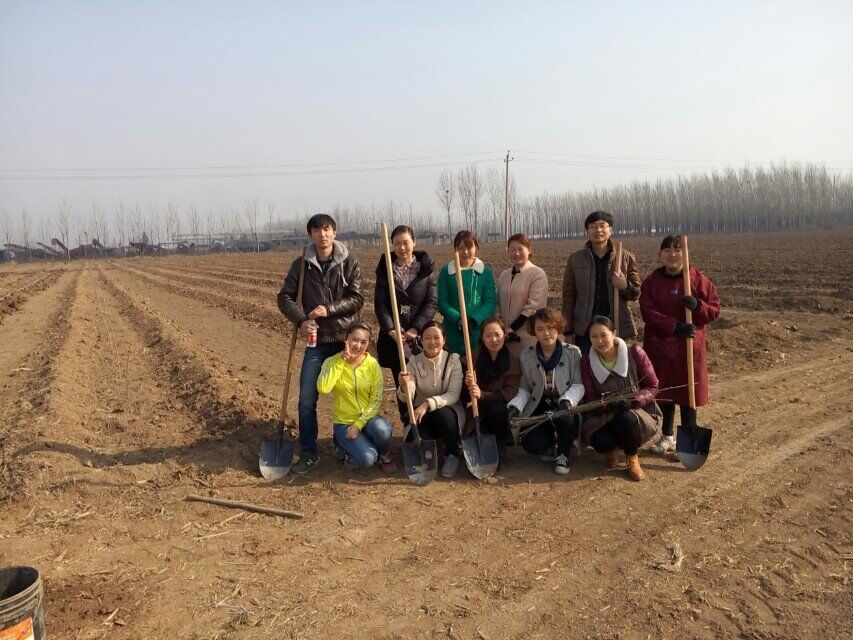 博農(nóng)集團(tuán)領(lǐng)導(dǎo)、基層黨政負(fù)責(zé)人等同志積極參加植樹活動